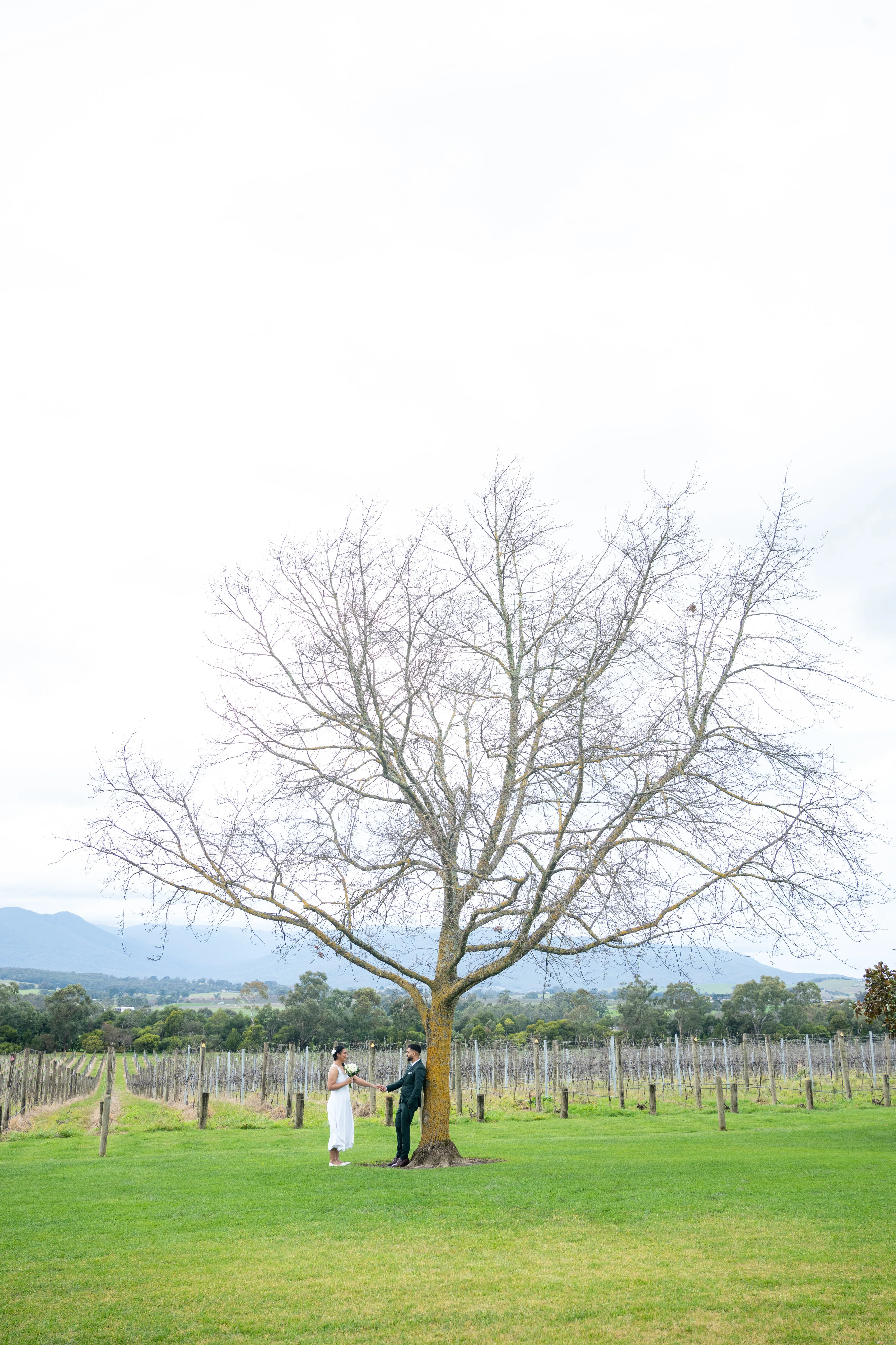 Melbourne wedding venues